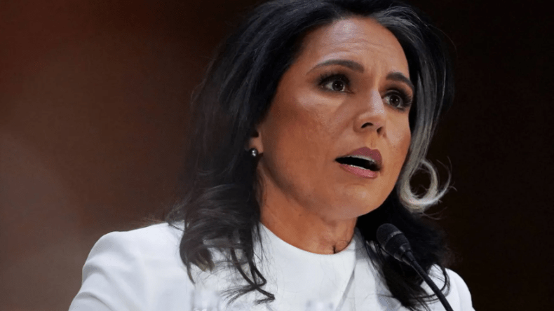 مراقبة وقف إطلاق النار في غزة.. مديرة الاستخبارات الأمريكية تقرّ بأمر هام 