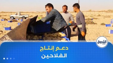 بعد توقفه لسنوات.. إطلاق قروض مصغرة لدعم إنتاج الفلاحين قريبا