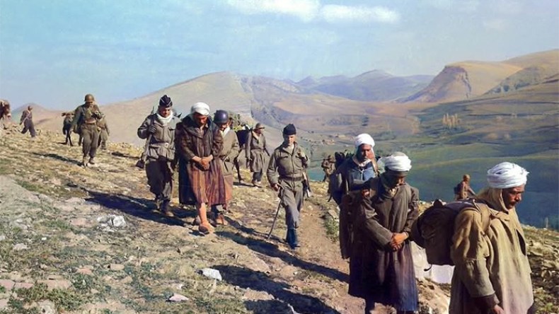 جزائريون يتداولون صورا ثورية نادرة تخليدا لذكرى نوفمبر