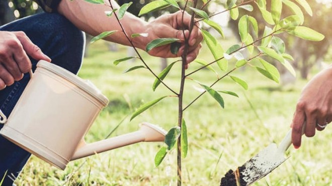 جزائريون يسقون “شجيراتهم” والمخربون انقرضوا من المشهد