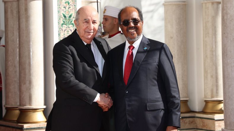 الرئيس الصومالي حسن شيخ محمود: تثمن الصومال عاليا دور الجزائر في تعزيز السلام والتضامن الإفريقي