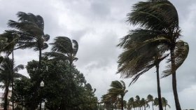 دروس وعبر من نازلة “الرياح”!