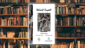 “الحياة السائلة”.. سباق بلا خط نهاية