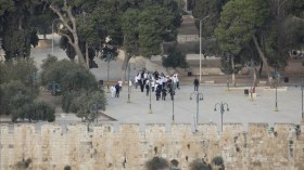 عنزة و3 حمامات.. مستوطنون يدخلون القرابين للأقصى!