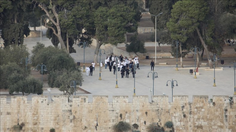 عنزة و3 حمامات.. مستوطنون يدخلون القرابين للأقصى!