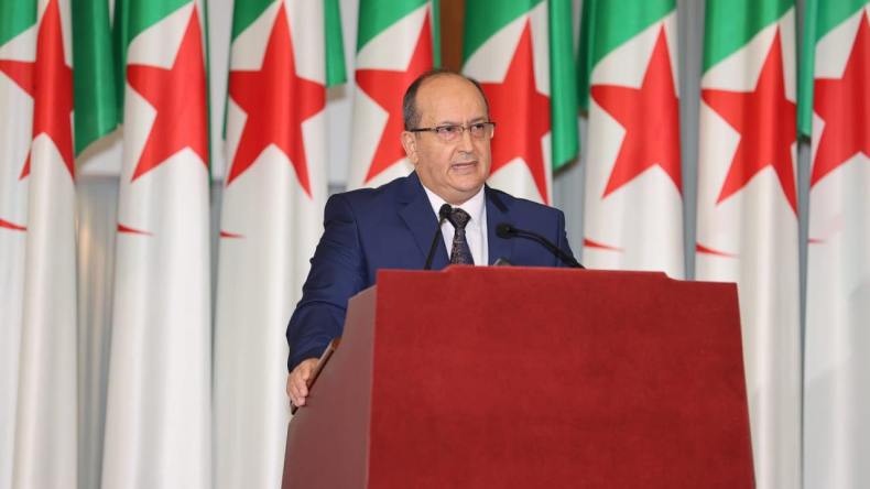 سيفي غريب يصل جوهانسبرغ للمشاركة في قمة العشرين