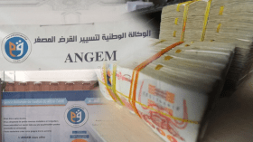 منذ تأسيسها.. الوكالة الوطنية لتسيير القرض المصغر دعمت مليون مشروع