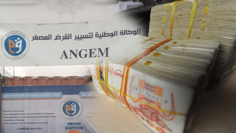 منذ تأسيسها.. الوكالة الوطنية لتسيير القرض المصغر دعمت مليون مشروع