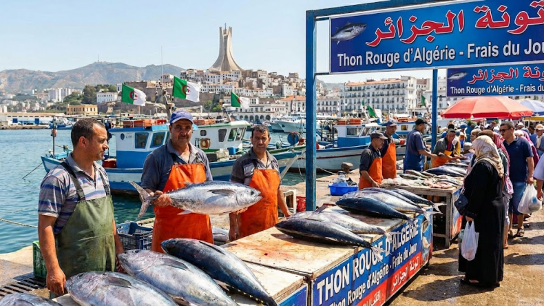 تصحيحًا لتعسّف 2010.. رفع حصة الجزائر من التونة الحمراء إلى 2460 طنًا