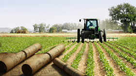 تعود لما قبل 2005.. مخططات الفلاحة القديمة تُهدد الإنتاج الزراعي