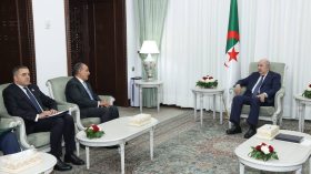 بالفيديو.. وزير الخارجية المصري يكشف تفاصيل لقائه بالرئيس تبون