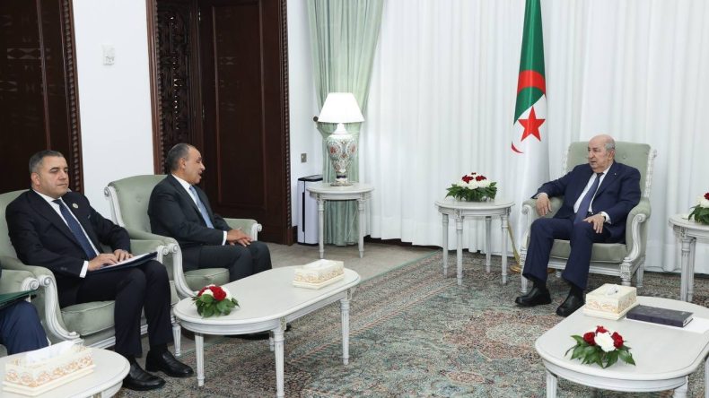 بالفيديو.. وزير الخارجية المصري يكشف تفاصيل لقائه بالرئيس تبون