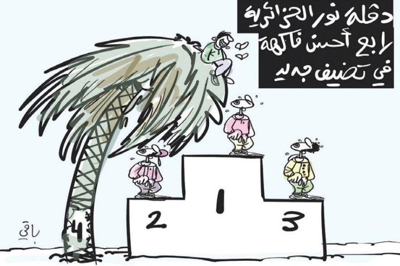 دقلة نور الجزائرية