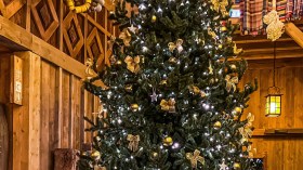 إغاثة الجائعين من العباد خير من إحياء ليلة الميلاد