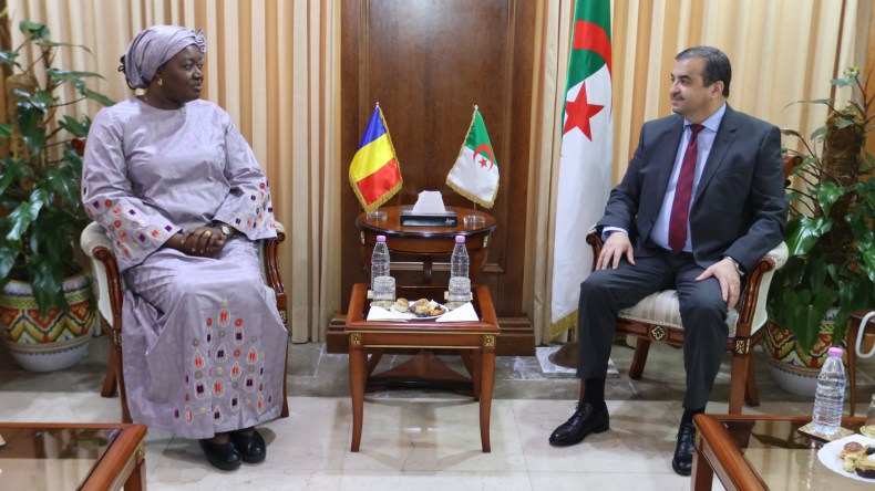 عرقاب ووزيرة البترول التشادية يبحثان تعزيز الشراكة في هذه المجالات