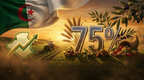 الجزائر تقترب من الاكتفاء الذاتي بتلبية 75% من احتياجاتها الغذائية