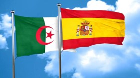 شركة إسبانية ترغب في رفع الجزائر لصادراتها من هذه المادة