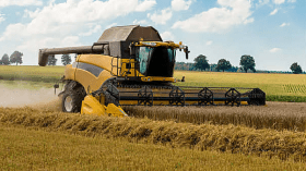 تقرير أمريكي يتوقع تحسن إنتاج القمح والشعير في الجزائر