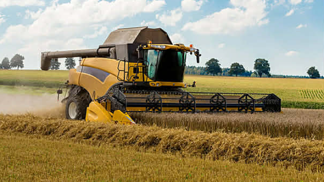 تقرير أمريكي يتوقع تحسن إنتاج القمح والشعير في الجزائر