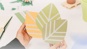 فرصة دولية لفائدة الشباب الجزائري في مجال التربية المناخية