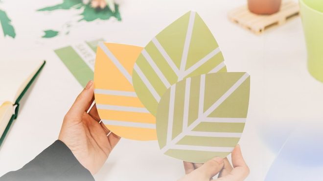 فرصة دولية لفائدة الشباب الجزائري في مجال التربية المناخية