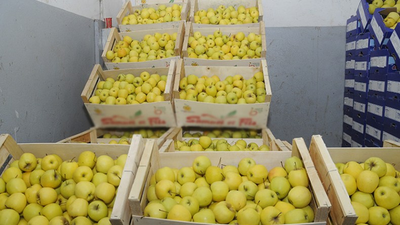 نظام صارم لمراقبة المنتج الفلاحي من الحقول إلى التخزين!