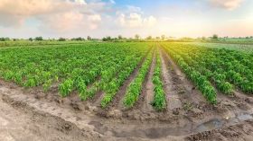 هام بخصوص الاستفادة من المحفظة العقارية بالجزائر العاصمة