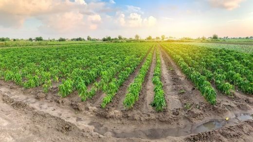 هام بخصوص الاستفادة من المحفظة العقارية بالجزائر العاصمة