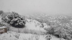 نشرية خاصة: ثلوج كثيفة وأمطار غزيرة على هذه الولايات