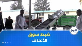 وزارة الفلاحة تضبط سوق الأعلاف.. إجراءات جديدة لخفض تكاليف إنتاج اللحوم الحمراء