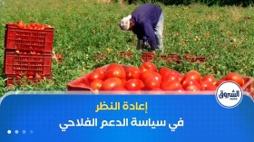 نحو إعادة النظر في سياسة الدعم الفلاحي. . غربلة المستفيدين وتحفيز للمستحقين