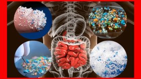 التلوث البلاستيكي يهدد صحة الجزائريين