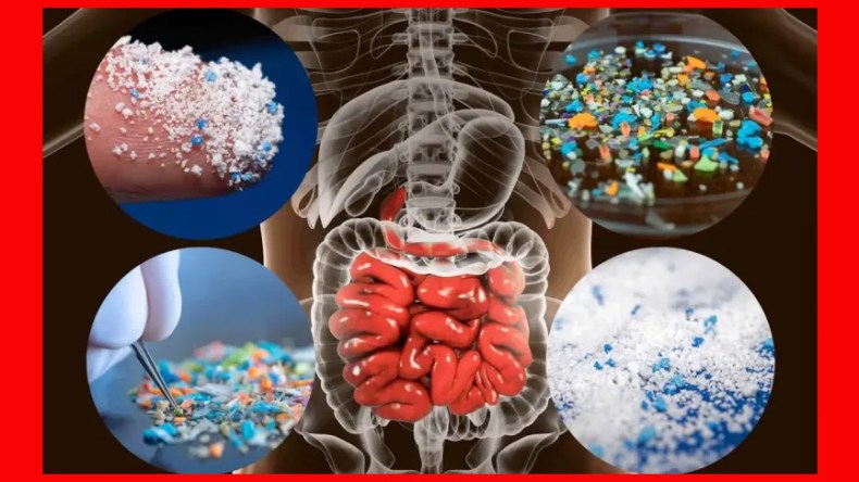 التلوث البلاستيكي يهدد صحة الجزائريين