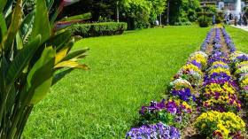 المراهنة على المقاولاتية الخضراء.. هل ستتحول شوارعنا إلى أحياء “إيكولوجية”؟