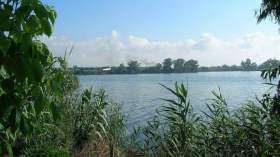 محمية الرغاية.. آخر ما تبقى من متيجة القديمة