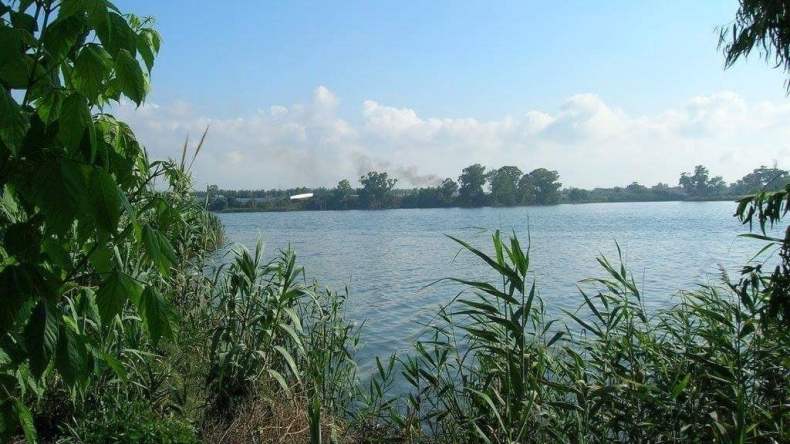 محمية الرغاية.. آخر ما تبقى من متيجة القديمة