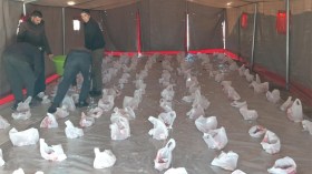 استعدادات واسعة للاحتفال برأس السنة الأمازيغية