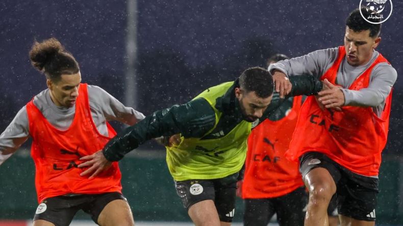 “الخضر” في حاجة إلى حماية حتى لا يفقدوا تركيزهم