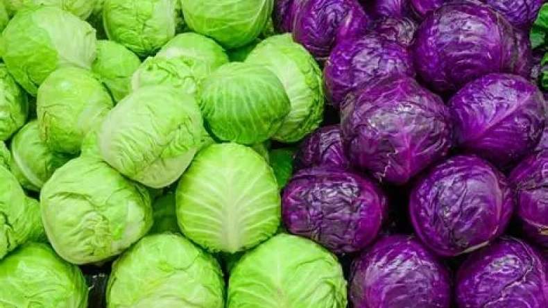 7 أسباب تدفعك لتناول الكرنب بانتظام