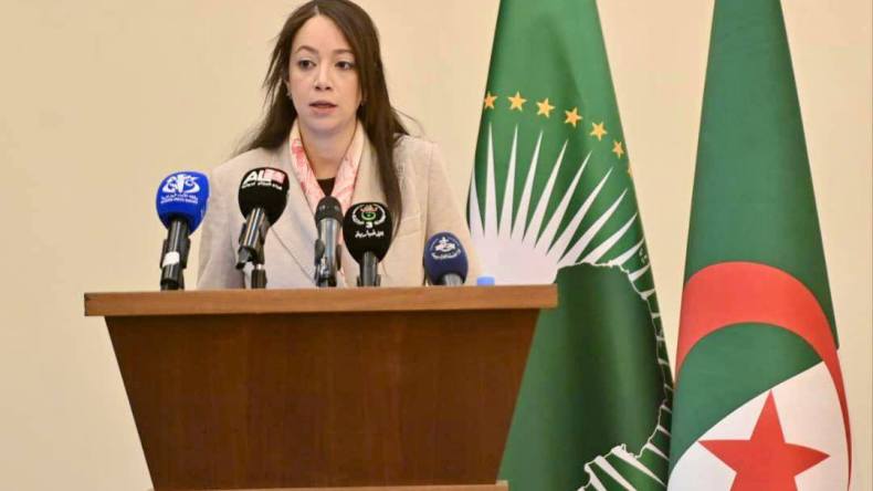 خطة عمل إفريقية لمكافحة الإرهاب مع الحفاظ على السيادة القارية