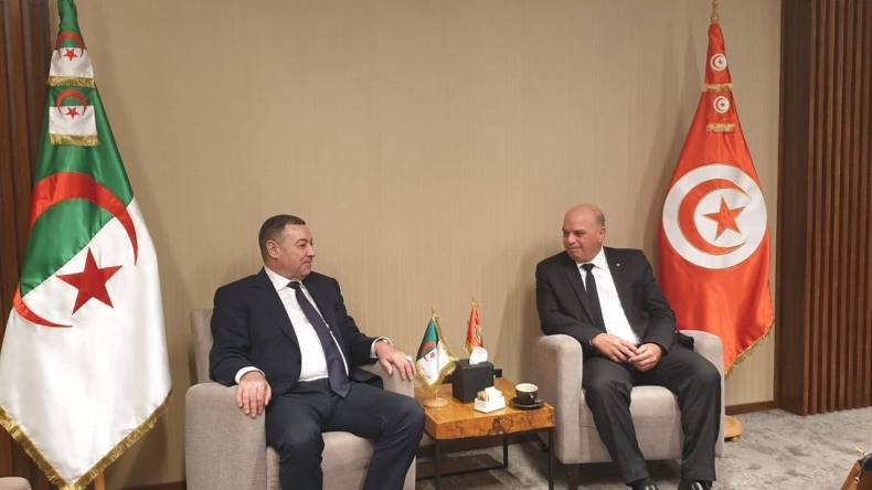 النقل البري والبحري بين الجزائر وتونس.. هذا ما تم الاتفاق عليه
