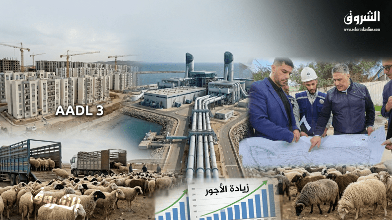 2025.. برنامج “عدل 3” يتقدم والأجور تتحرك