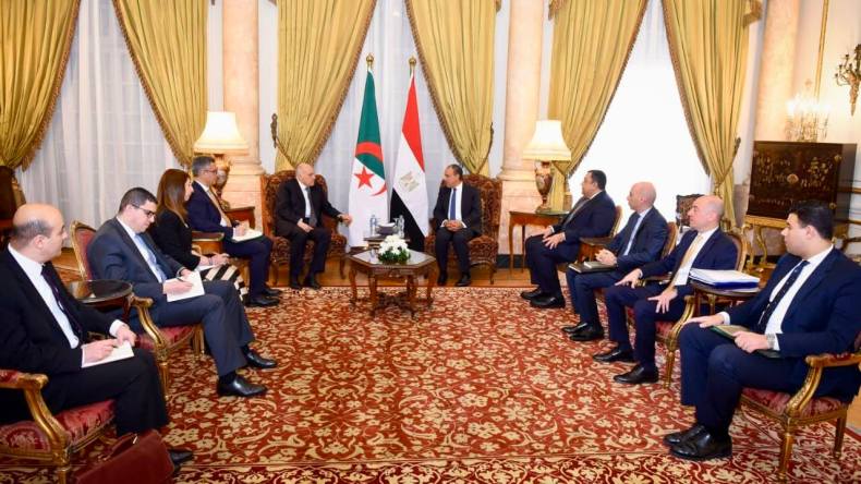 منتدى الشراكة الإفريقية-الروسية: عطاف يتباحث مع نظيره المصري