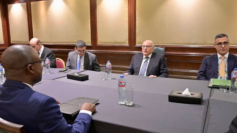 الجزائر وزيمبابوي تؤكدان تطابق مواقفهما بخصوص القضيتين الفلسطينية والصحراوية