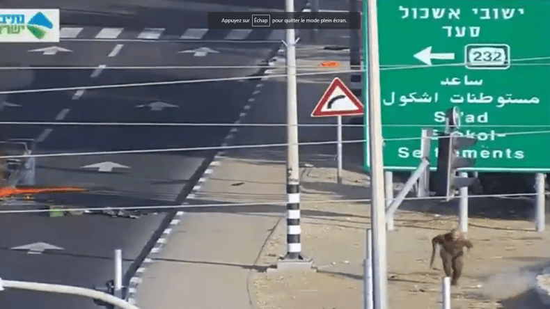 شاهد.. هكذا فرّ رئيس الموساد الجديد من مقاتلي القسام