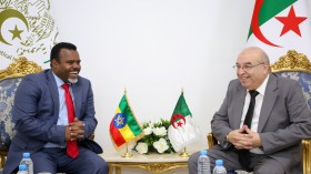 الجزائر تبحث مع إثيوبيا تزويد سوقها بالمنتجات الصيدلانية