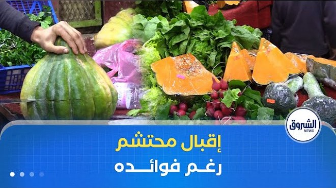 اليقطين .. اقبال محتشم من المواطنين رغم فوائده الصحية