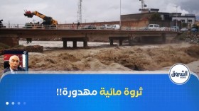 ثروة مائية مهدورة .. 80 بالمائة من مياه الأمطار تضيع في البحر