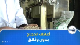 “لوناب” يعلن عن بيع أعلاف الدجاج دون أي وثائق لدعم استمرارية نشاط تربية الدواجن