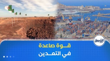 وفق تقارير عالمية.. الجزائر تعزز موقعها كقوة صاعدة في التعدين الأفريقي
